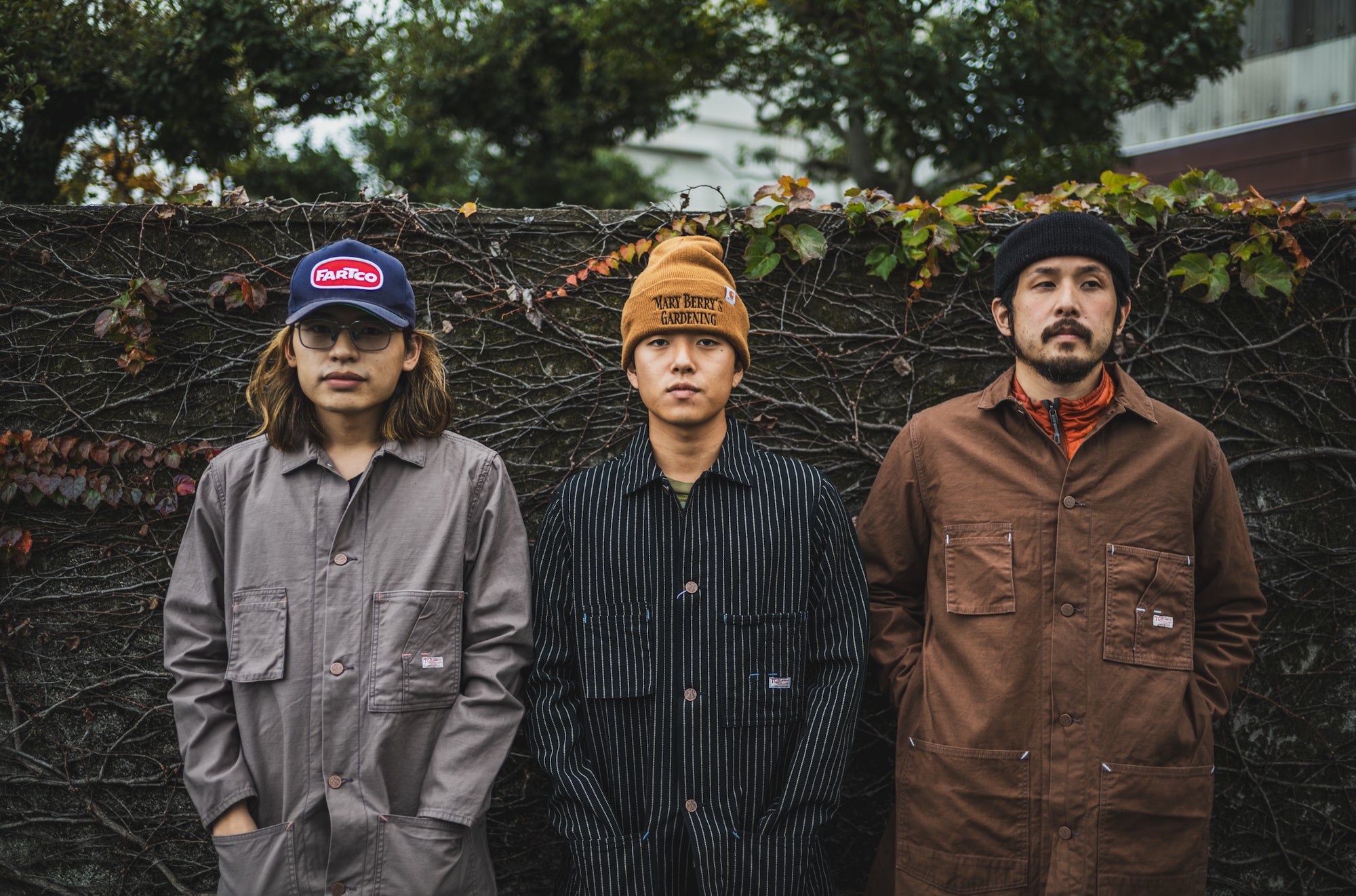 Tabby's Coat Havana Brown/British Short Hair Grey