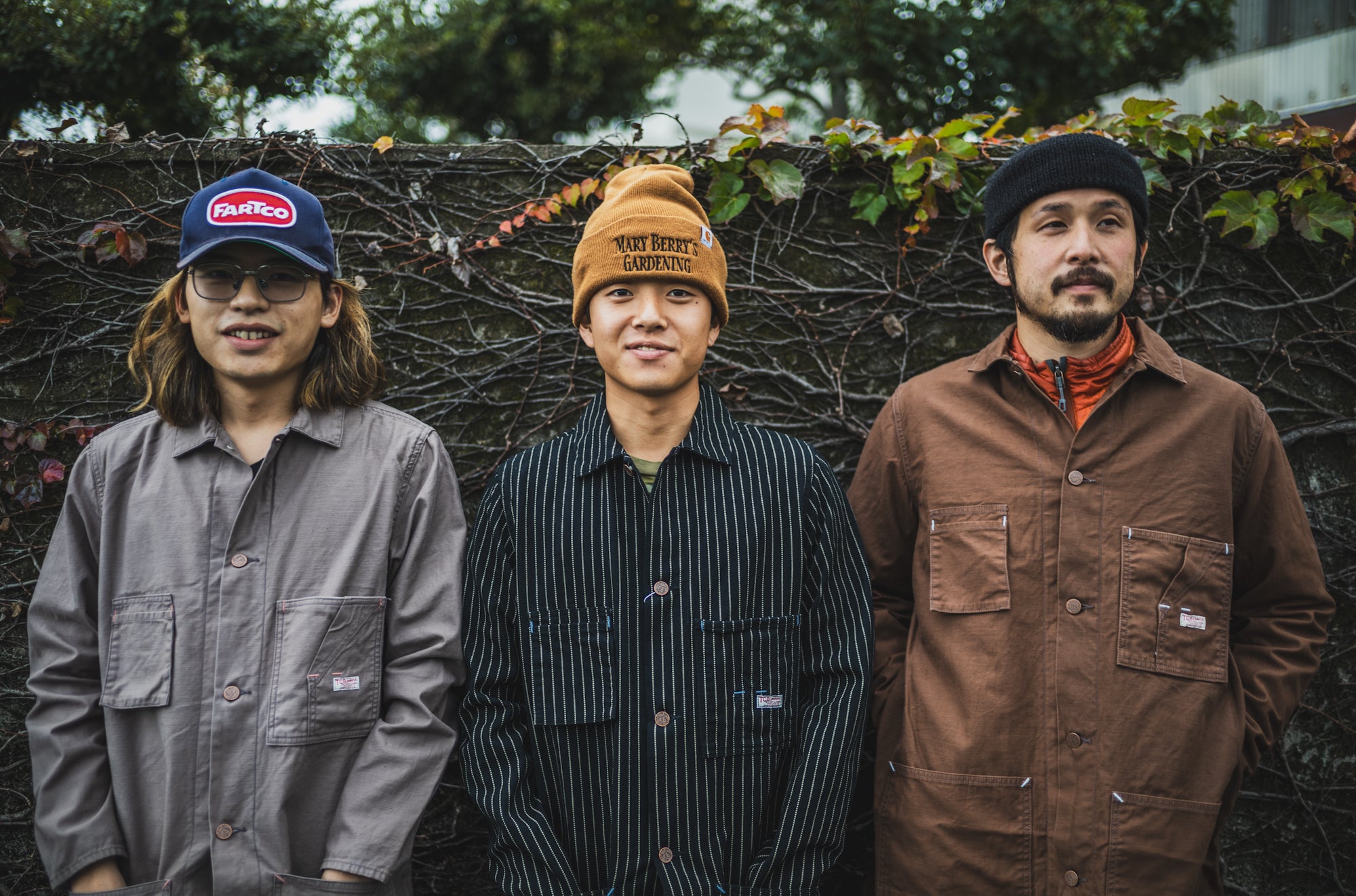 Tabby's Coat Havana Brown/British Short Hair Grey