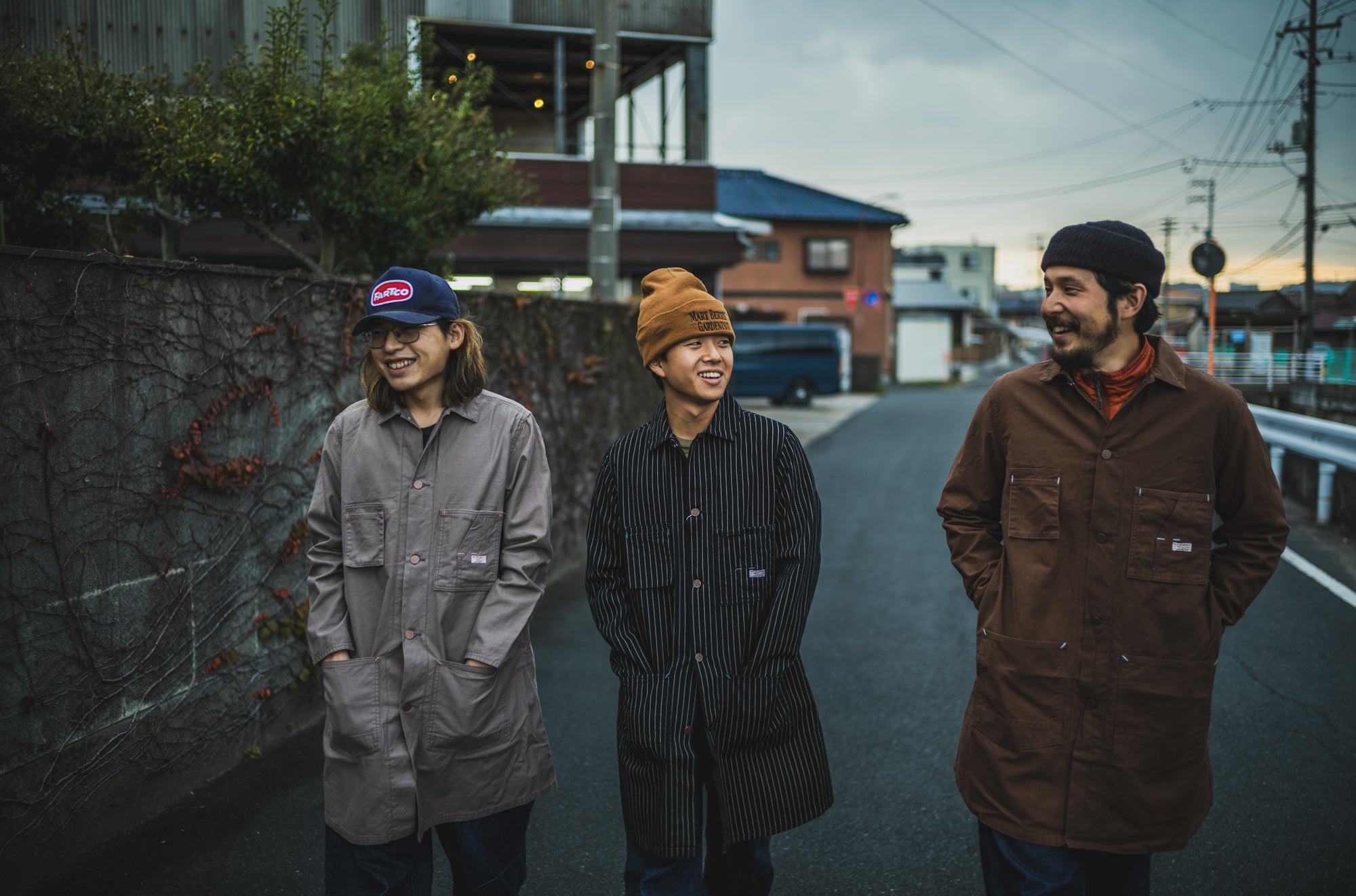 Tabby's Coat Havana Brown/British Short Hair Grey