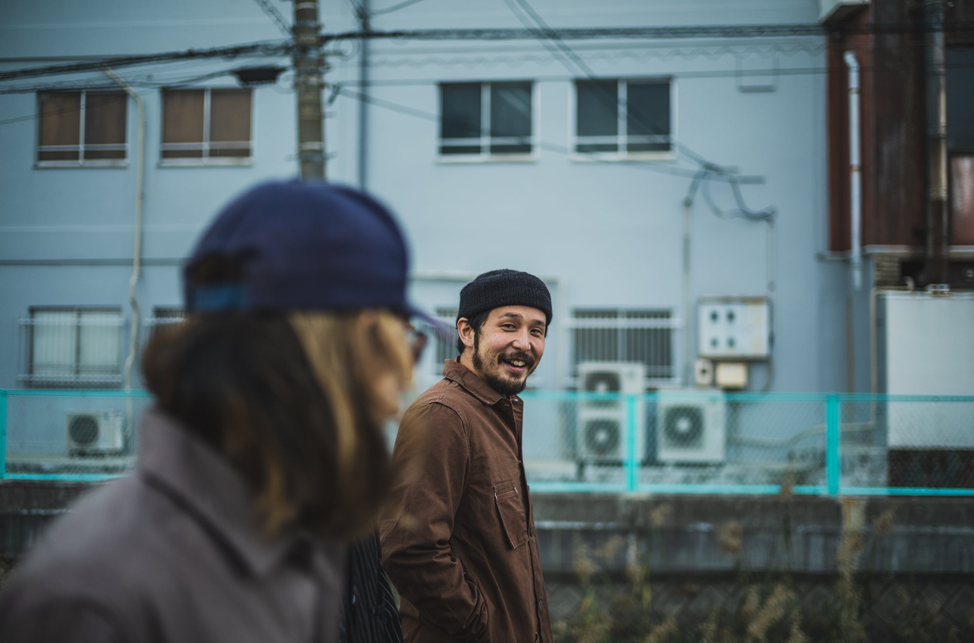 Tabby's Coat Havana Brown/British Short Hair Grey