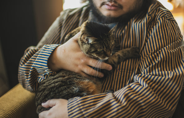 Cathartt Chore Coat Tabby Cat Stripe – TCB JEANS