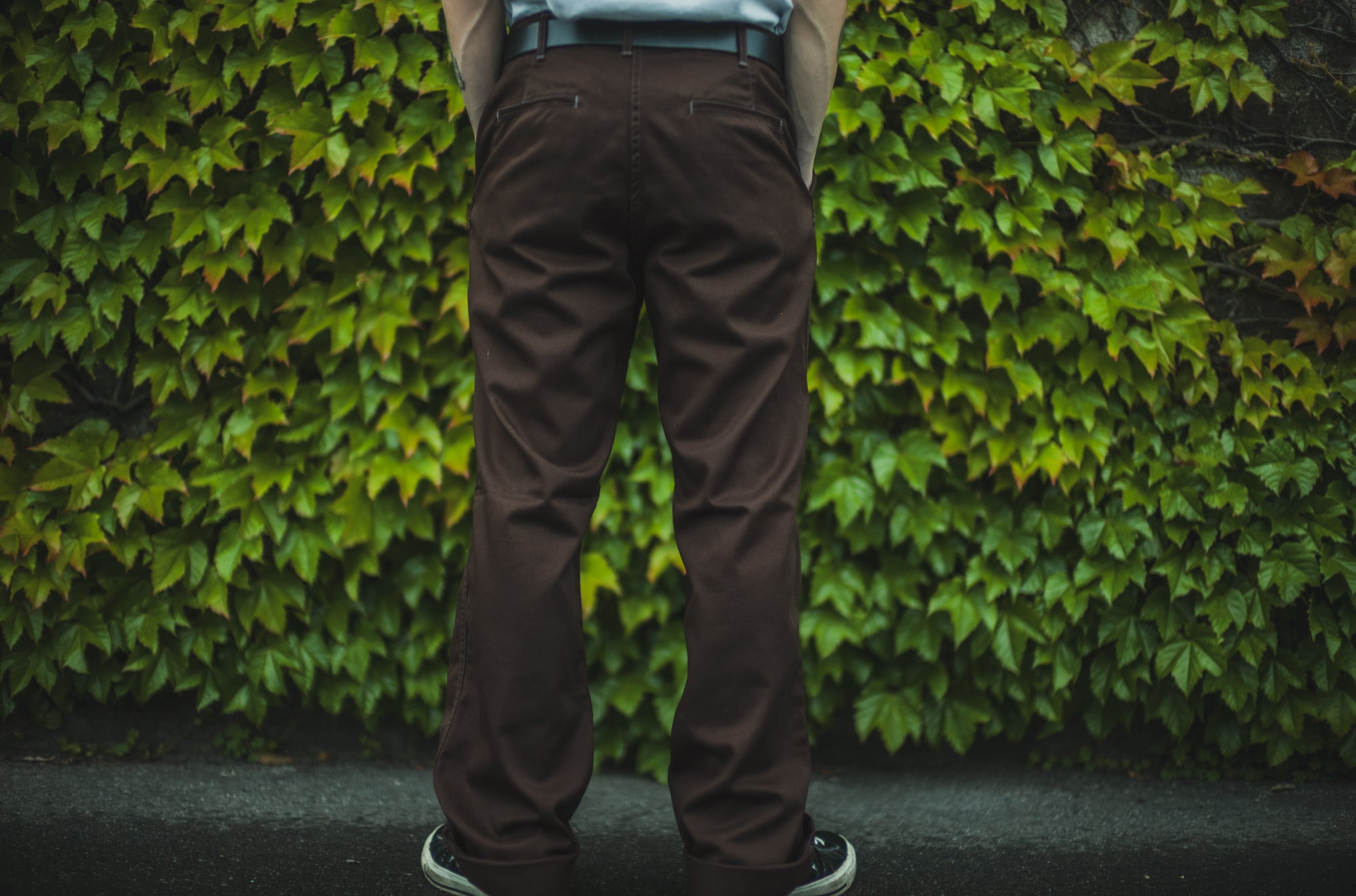 Stay Gold Chino