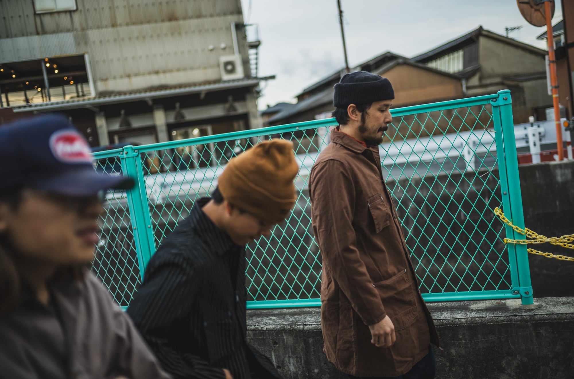 Tabby's Coat Havana Brown/British Short Hair Grey