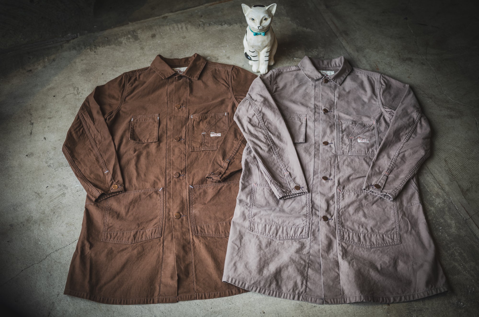 Tabby's Coat Havana Brown/British Short Hair Grey